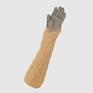 猿の左手